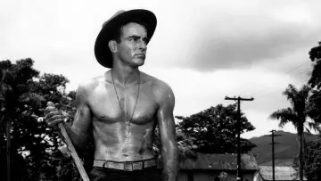 Backdrop to the movie "From Here to Eternity" #988981