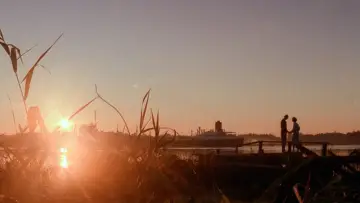 Backdrop to the movie "Manhunter" #720945