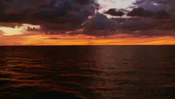 Backdrop to the movie "Manhunter" #720983