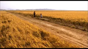 Backdrop to the movie "Memories of Murder" #630486