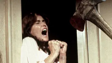 Backdrop to the movie "The Amityville Horror" #327179