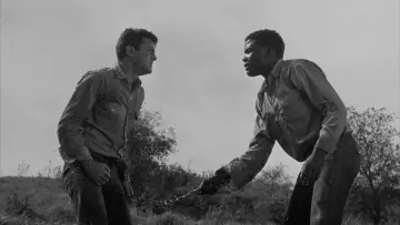 Backdrop to the movie "The Defiant Ones" #422996