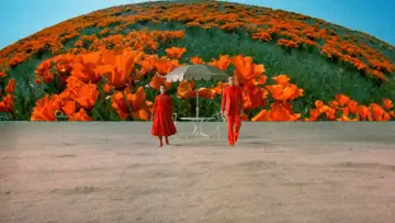 Backdrop to the movie "Altered States" #996249