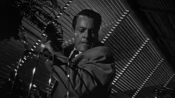 Backdrop to the movie "Invasion of the Body Snatchers" #213547