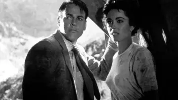 Backdrop to the movie "Invasion of the Body Snatchers" #715457