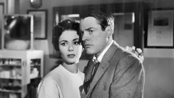 Backdrop to the movie "Invasion of the Body Snatchers" #715464