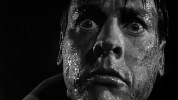 Backdrop to the movie "Invasion of the Body Snatchers" #902028