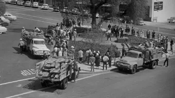 Backdrop to the movie "Invasion of the Body Snatchers" #902030