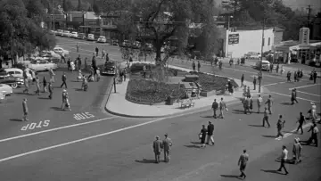 Backdrop to the movie "Invasion of the Body Snatchers" #902031