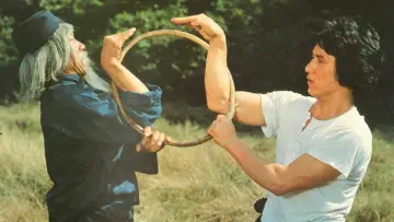 Backdrop to the movie "Snake in the Eagle