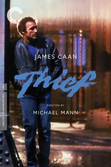 Poster to the movie "Thief" #863713