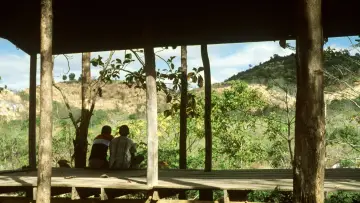 Backdrop to the movie "Tropical Malady" #1091501