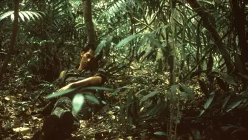 Backdrop to the movie "Tropical Malady" #1091509