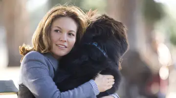 Backdrop to the movie "Must Love Dogs" #893280