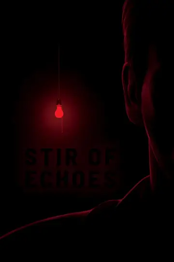 Poster to the movie "Stir of Echoes" #902076