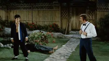 Backdrop to the movie "Fist of Fury" #688276
