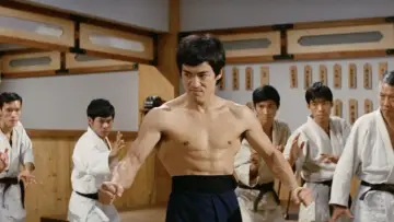 Backdrop to the movie "Fist of Fury" #688278