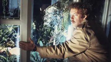 Backdrop to the movie "Invasion of the Body Snatchers" #848530