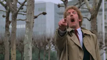 Backdrop to the movie "Invasion of the Body Snatchers" #922646