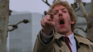 Backdrop to the movie "Invasion of the Body Snatchers" #922647
