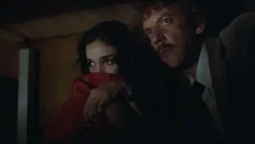 Backdrop to the movie "Invasion of the Body Snatchers" #922650
