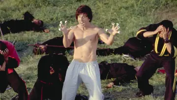 Backdrop to the movie "Kung Pow: Enter the Fist" #941442