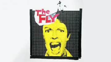 Backdrop to the movie "The Fly" #246518