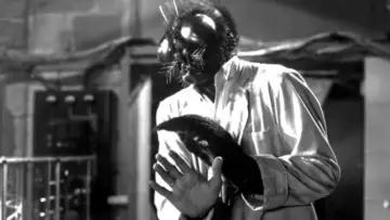 Backdrop to the movie "The Fly" #885699
