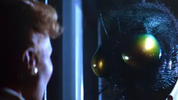 Backdrop to the movie "The Fly" #885715