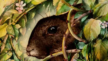 Backdrop to the movie "Watership Down" #990382