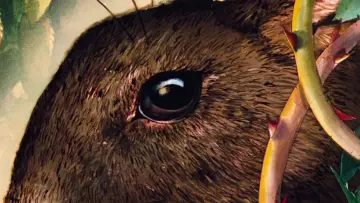 Backdrop to the movie "Watership Down" #990383