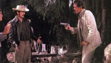 Backdrop to the movie "Bring Me the Head of Alfredo Garcia" #991754