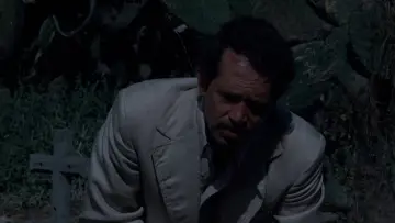Backdrop to the movie "Bring Me the Head of Alfredo Garcia" #991755