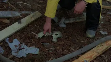 Backdrop to the movie "Friday the 13th Part VII: The New Blood" #893321