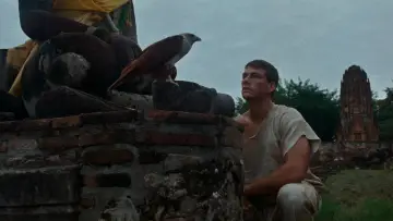 Backdrop to the movie "Kickboxer" #1580852