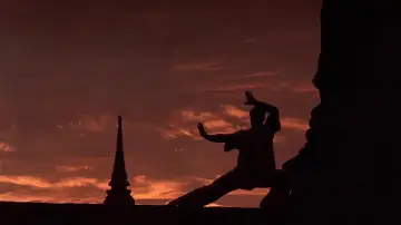 Backdrop to the movie "Kickboxer" #808303