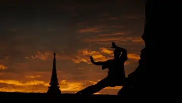 Backdrop to the movie "Kickboxer" #808306