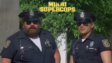 Backdrop to the movie "Miami Supercops" #1010842