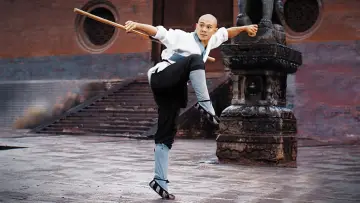 Backdrop to the movie "Shaolin Temple" #1564888