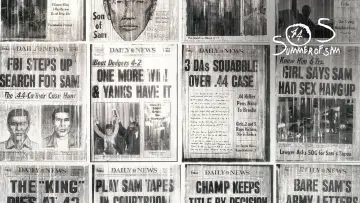 Backdrop to the movie "Summer of Sam" #898024