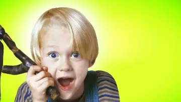 Backdrop to the movie "Dennis the Menace" #332698