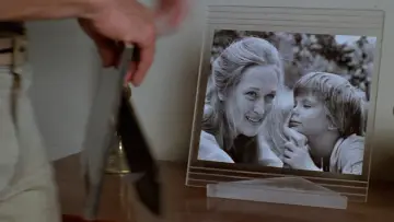 Backdrop to the movie "Kramer vs. Kramer" #865007