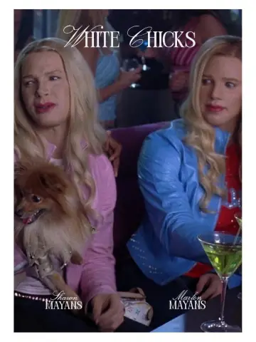 Poster to the movie "White Chicks" #926080