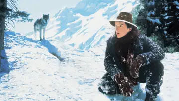 Backdrop to the movie "White Fang" #466193