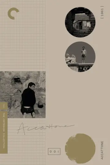 Poster to the movie "Accattone" #755099