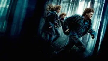 Backdrop to the movie "Harry Potter and the Deathly Hallows: Part 1" #911420