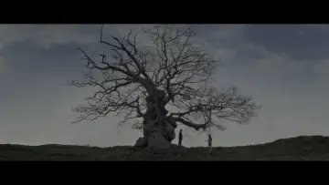 Backdrop to the movie "Harry Potter and the Deathly Hallows: Part 2" #555385