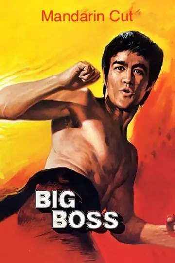 Poster to the movie "The Big Boss" #808702