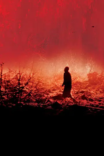 Poster to the movie "Calvaire" #492528