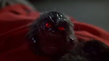 Backdrop to the movie "Critters 4" #1023569